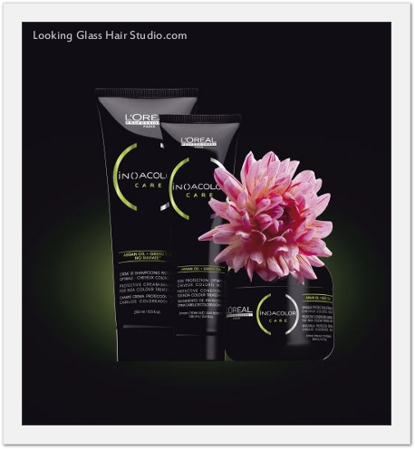 L'Oreal Professionnel at Looking Glass Hair Studio